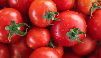 Ako správne skladovať paradajky? Vedci dospeli k nečakaným záverom